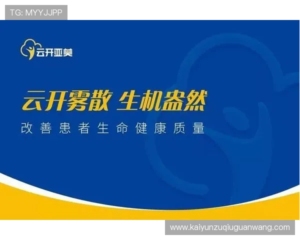 掌握开云网页登入技巧提升您的账户安全与登录效率